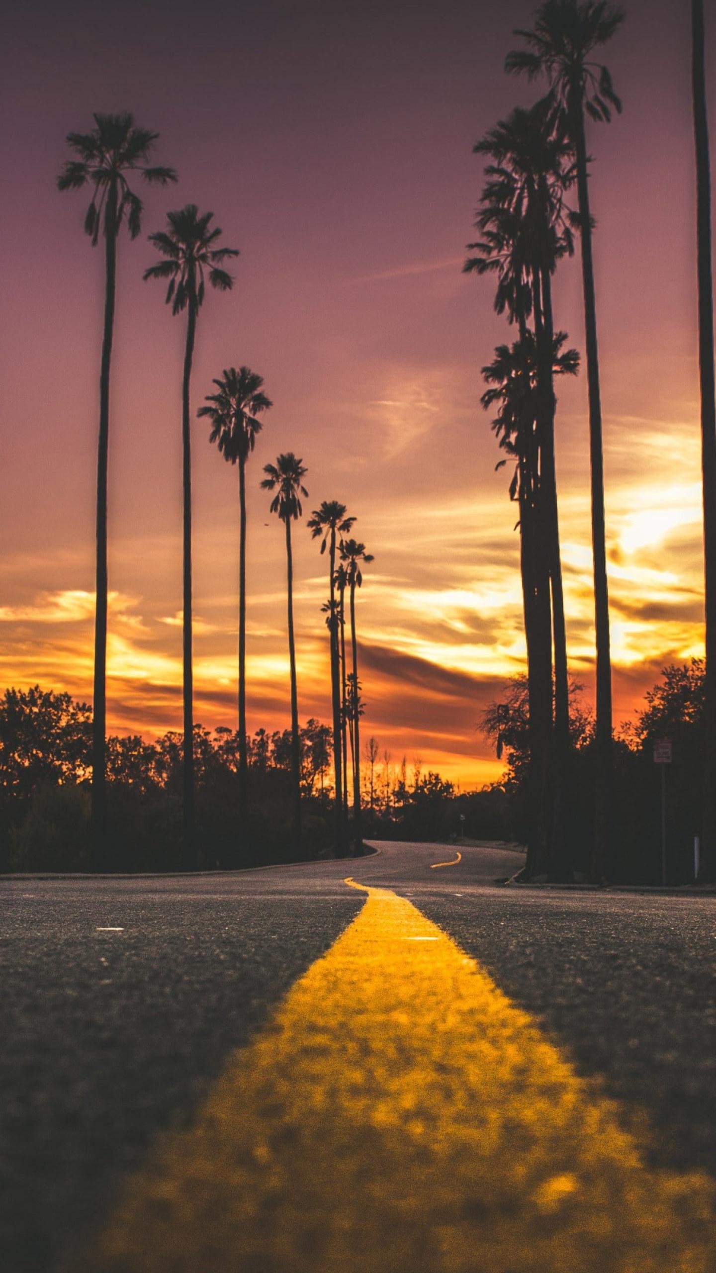 1440x2560 Road, palms, sky, purple sky, sunset, evening, purple sunset wallpaper • Wallpaper For You HD Wallpaper For Desktop & Mobile