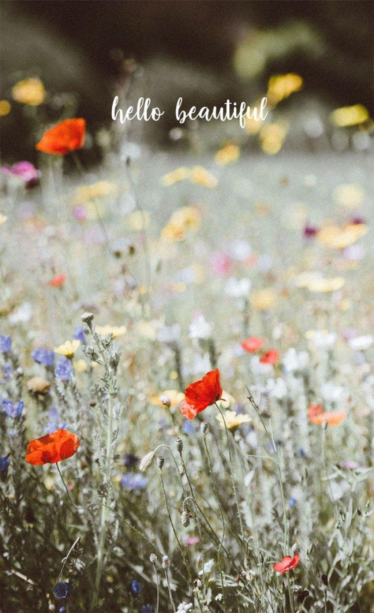 757x1241 Poppy and wild flower field iPhone wallpaper, Poppy iphone background