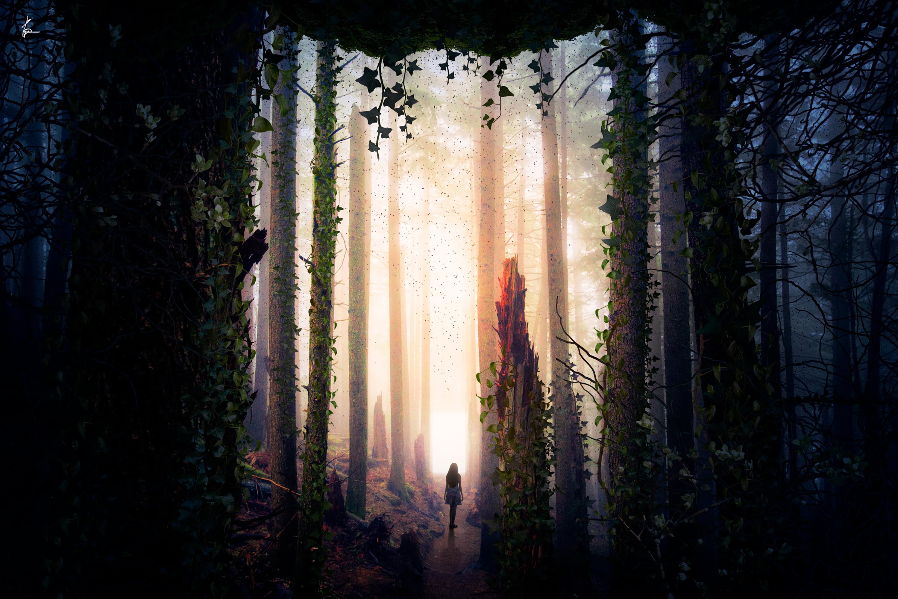 3000x2000 Girl Wallpaper 4K, Alone, Forest, Mystic, Surreal, Portal, Dream, Fantasy