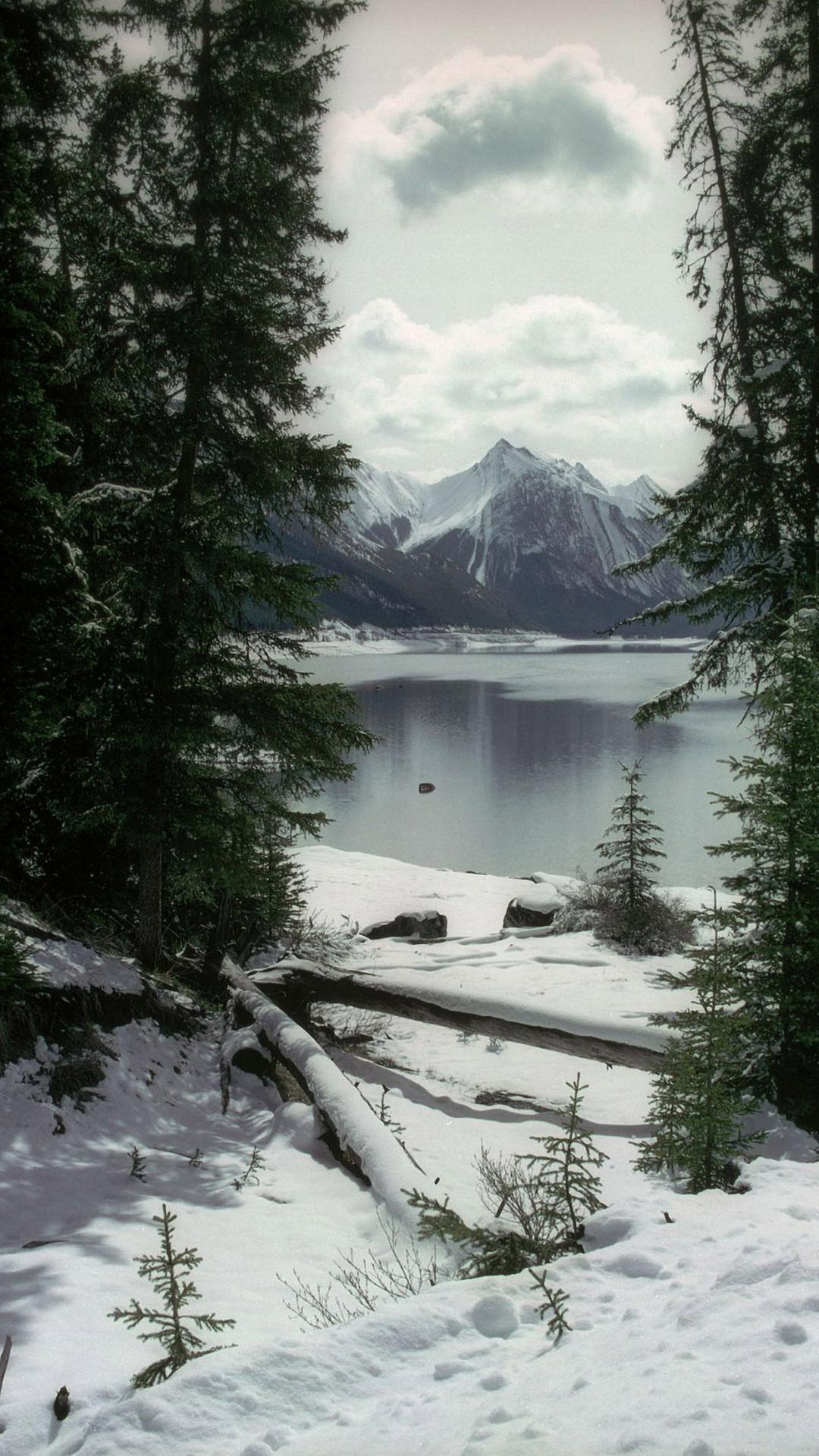 1080x1920 Winter Wallpaper iPhone