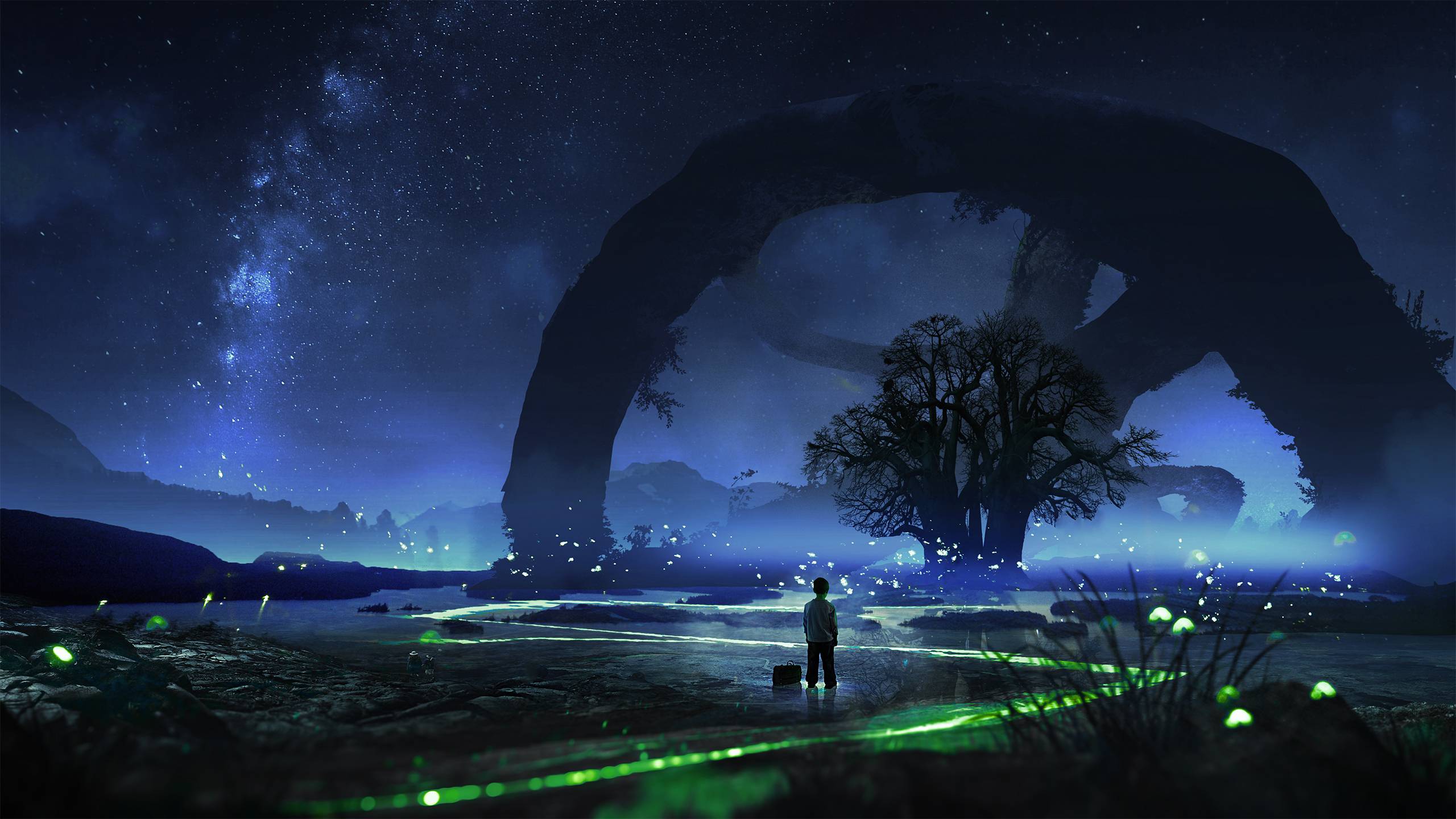 2560x1440 Fireflies Wallpaper, HD Artist 4K Wallpaper, Image, Photo and Background