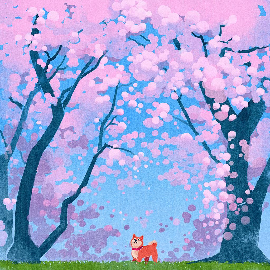 1024x1024 Android wallpaper. cute siba dog animal spring illustration art