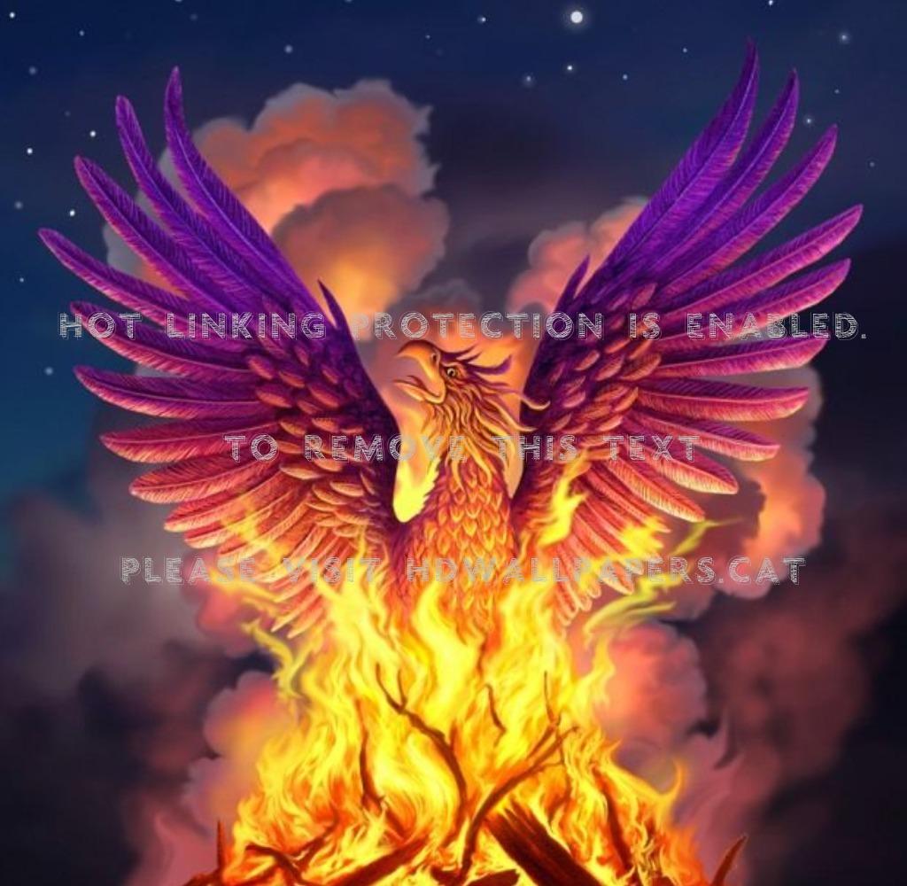 1024x1000 phoenix bird beautiful mythological fire