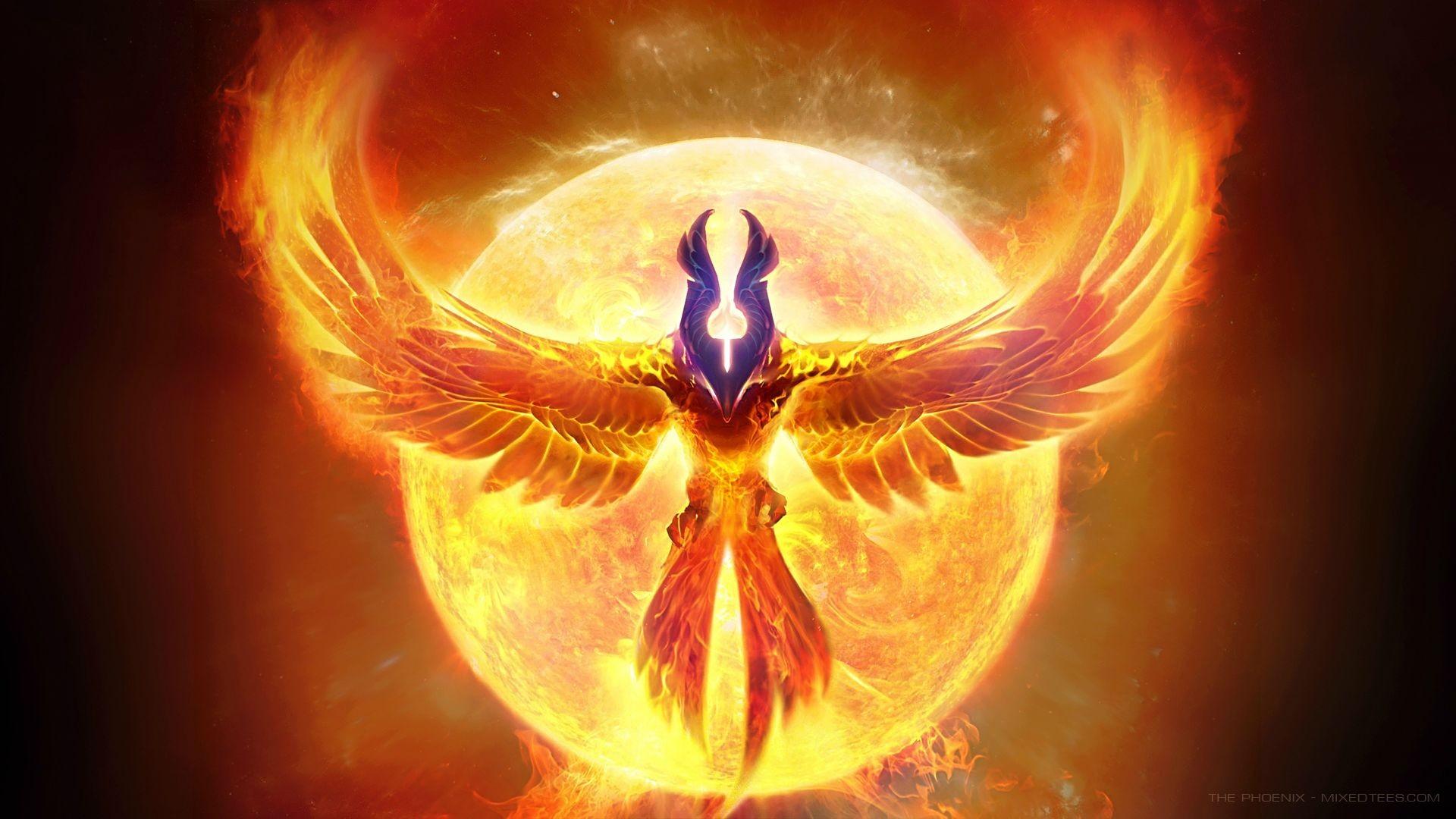 1920x1080 Phoenix Image HD Background Live Wallpaper HD