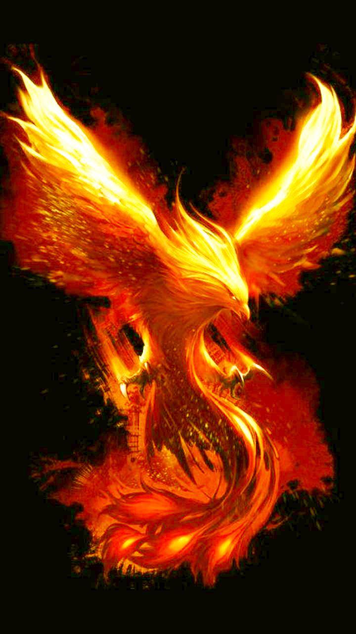 720x1280 phoenix bird. Phoenix bird art, Phoenix artwork, Phoenix wallpaper