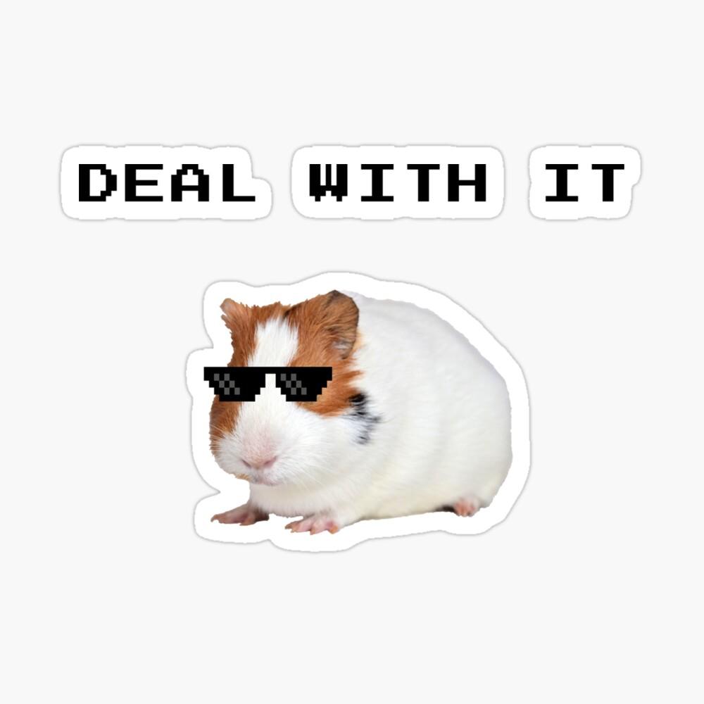 1000x1000 Funny Guinea Pig With It Photographic Print