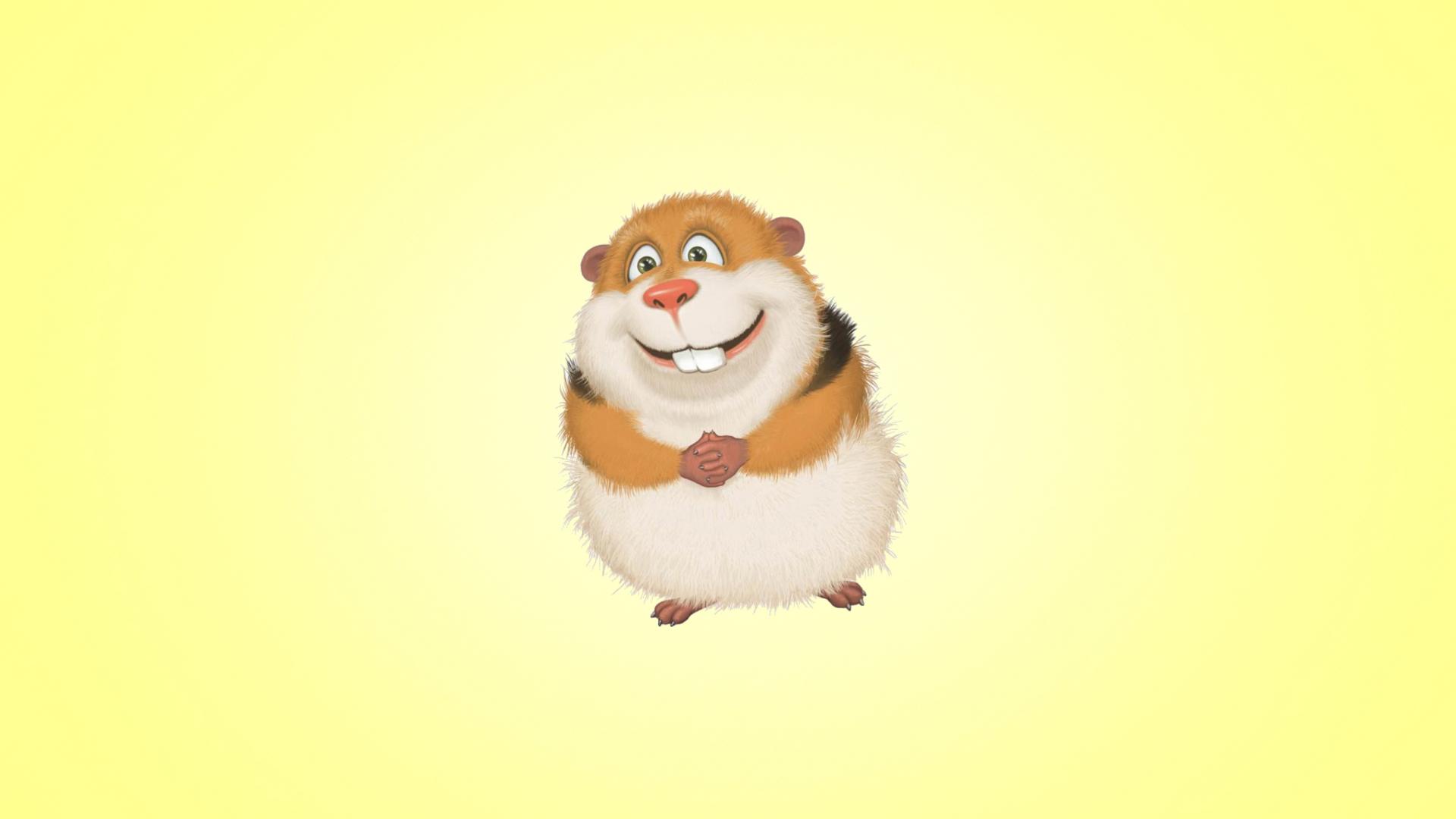 1920x1080 Funny Guinea Pig Wallpaper for Deskx1080 Full HD