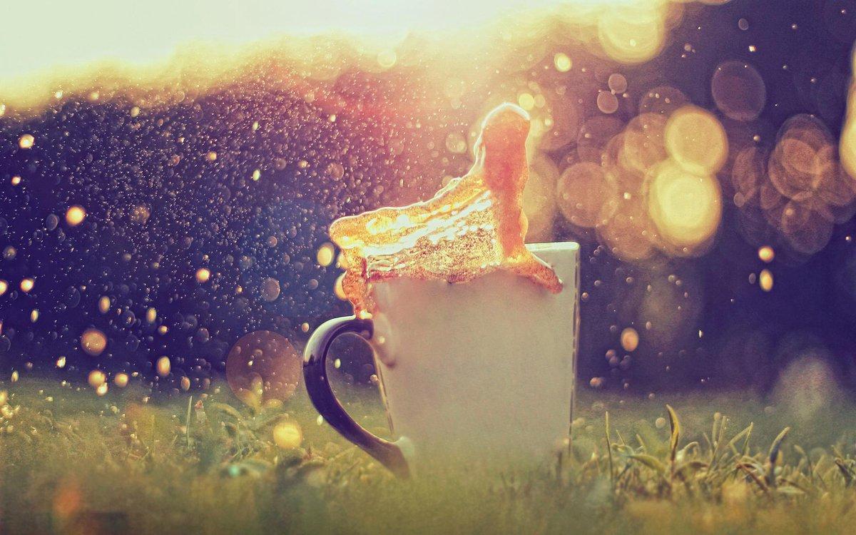 1200x750 alphacoders wallpaper of the day #Wallpaper #Wallpaper #Drink #Coffee