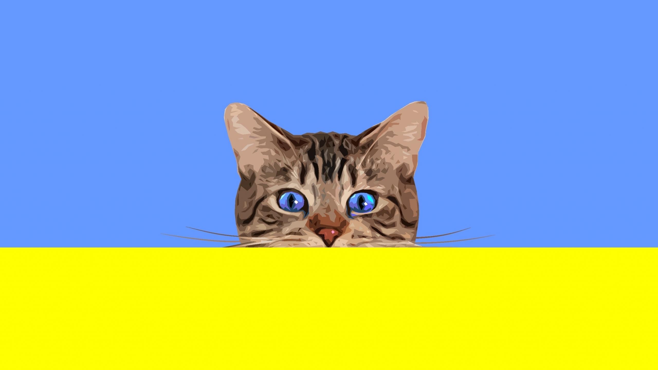 2560x1440 Download 2560x1440 wallpaper cat, muzzle, blue eyes, minimal, art, dual wide, widescreen 16: widescreen, 2560x1440 HD image, background, 15228
