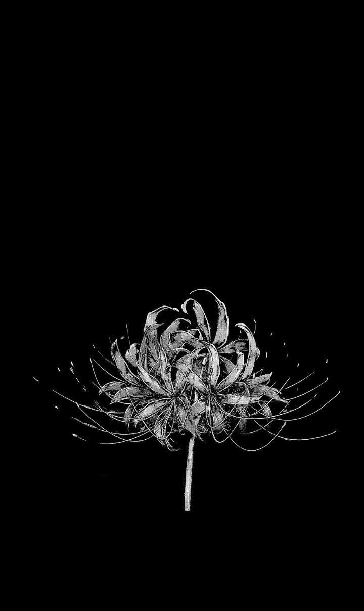 720x1210 freetoedit. Red spider lily, Anime wallpaper iphone, Tokyo ghoul flower