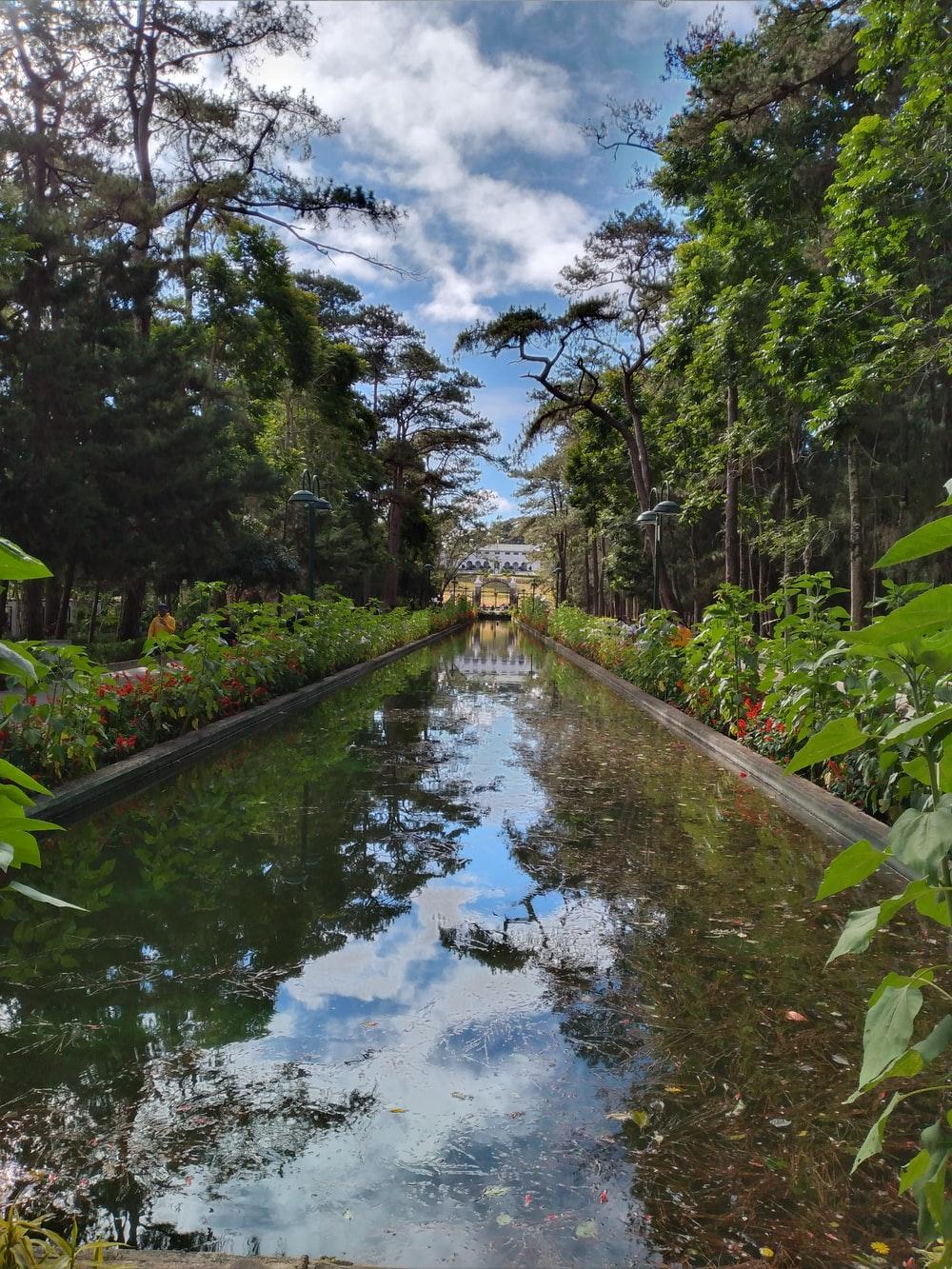1000x1333 Baguio, Philippines Picture. Download Free Image