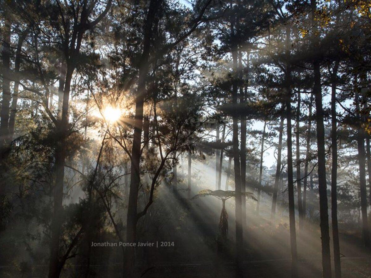 1200x900 Photo That Will Make You Fall In Love With Baguio City