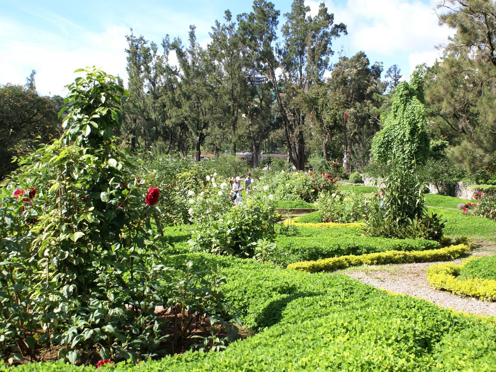 1600x1200 Flower park wallpaper: Tropical flower park wallpaper from Baguio City
