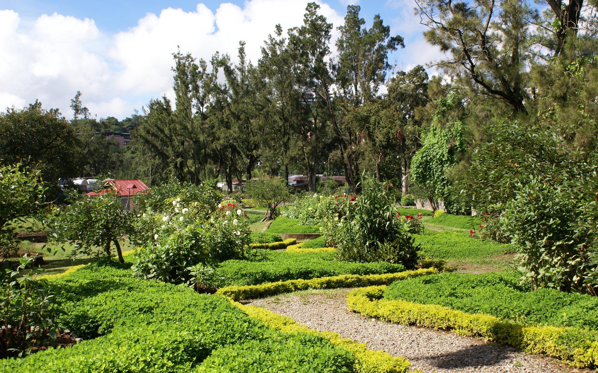 1920x1200 Flower park widescreen wallpaper: Burnham Park flower wallpaper