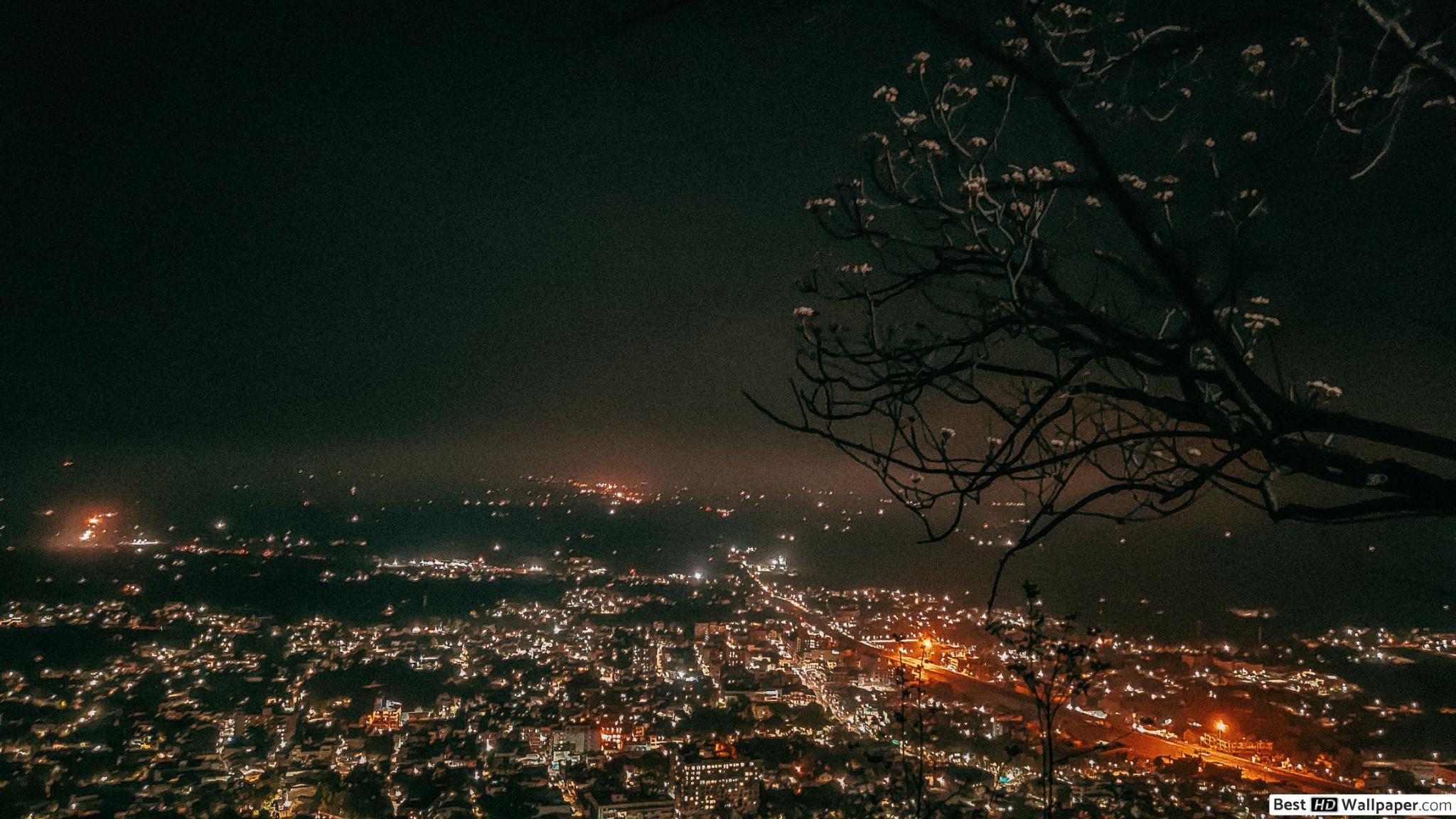 2048x1152 A view of a small city with blossoms at night HD wallpaper download