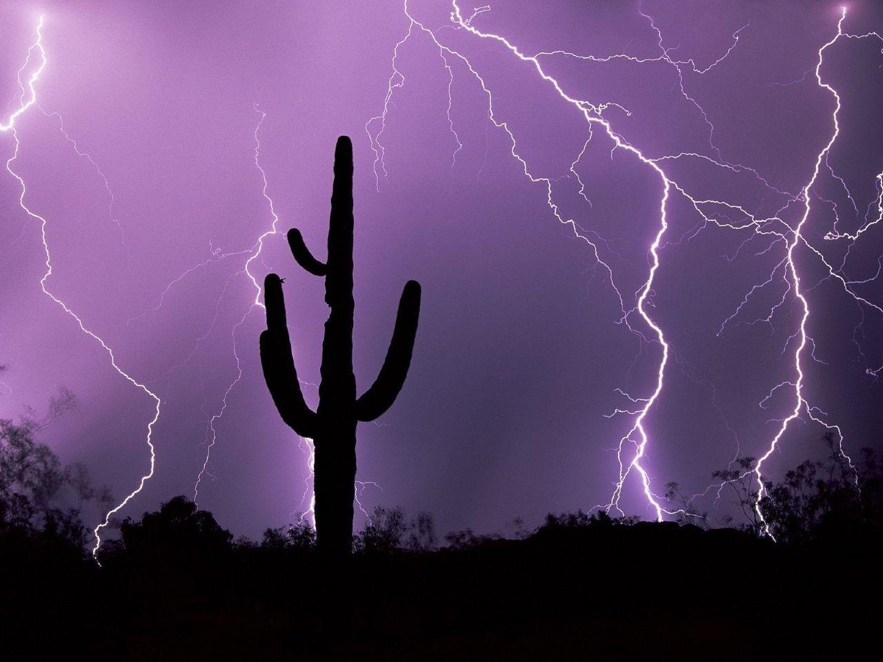 1280x960 Nature: Desert Storm, Tucson, Arizona, picture nr. 47116