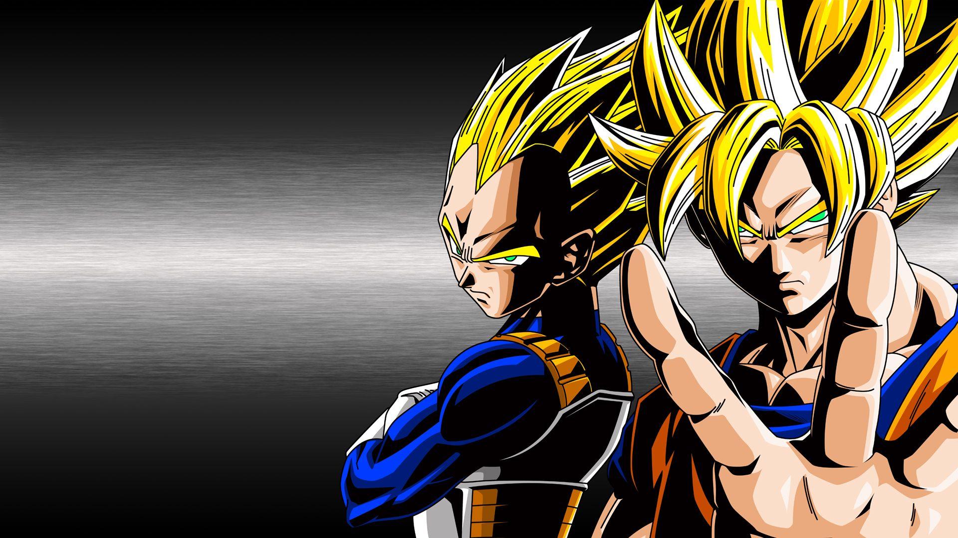 1920x1080 Goku and Vegeta Super Saiyan God Fusion