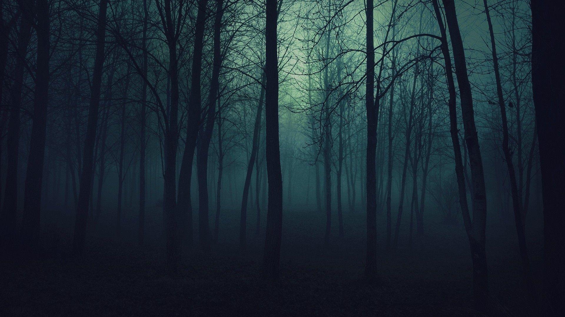 1920X1080 Beautiful Dark Forest Wallpapers - Top Free 1920X1080 ...