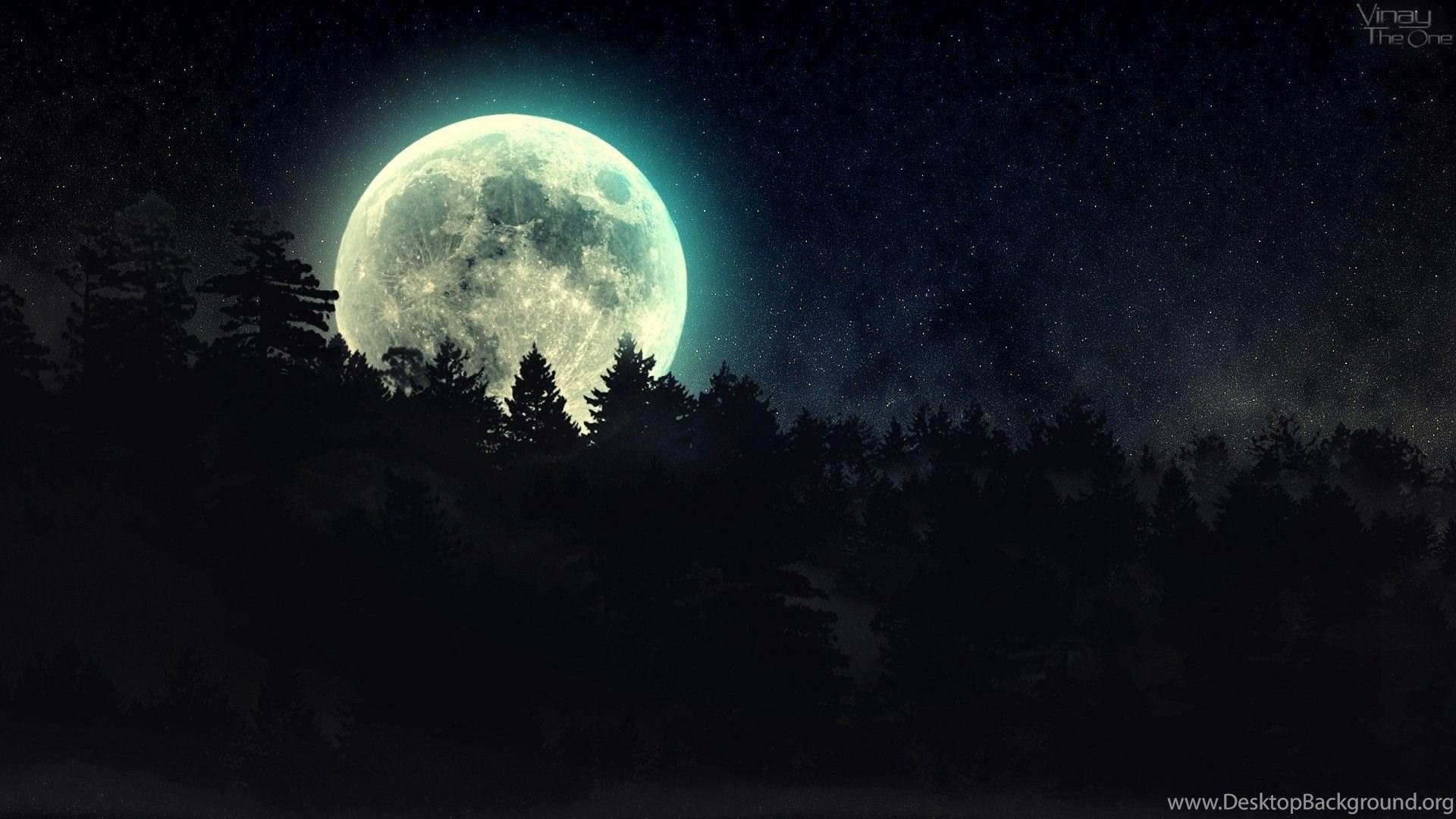 1920x1080 3029) Dark Forest Moon Wallpaper Ideas WalOps.com Desktop Background
