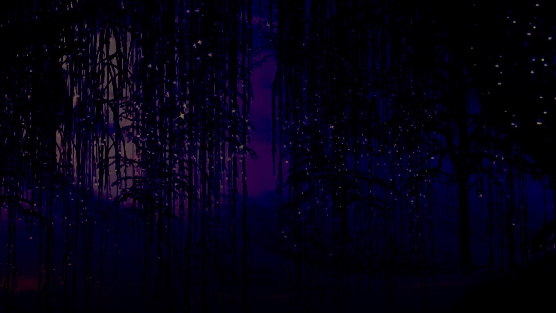 1920x1080 Beautiful Night Forest Wallpaper: Free Download Vector, Image, PNG, PSD Files