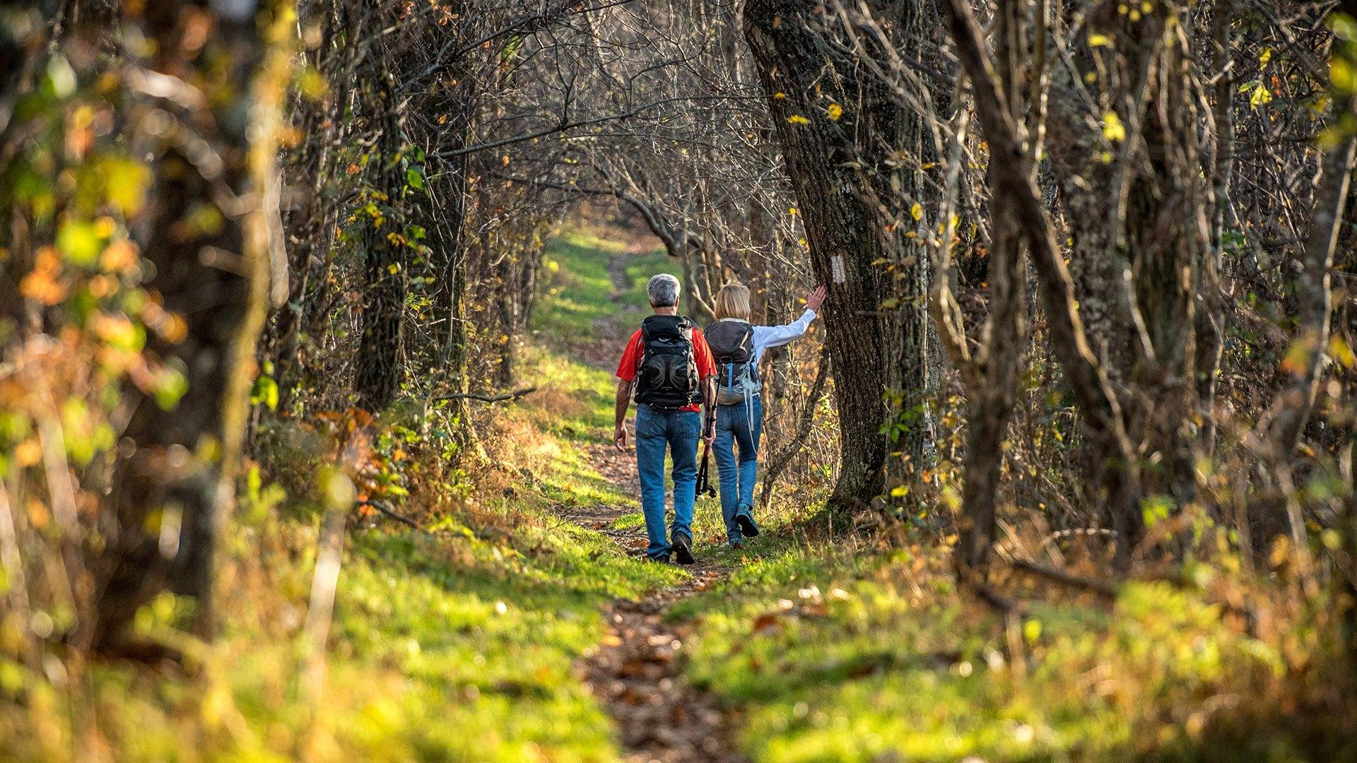 1920x1080 About Us. Appalachian Trail Conservancy