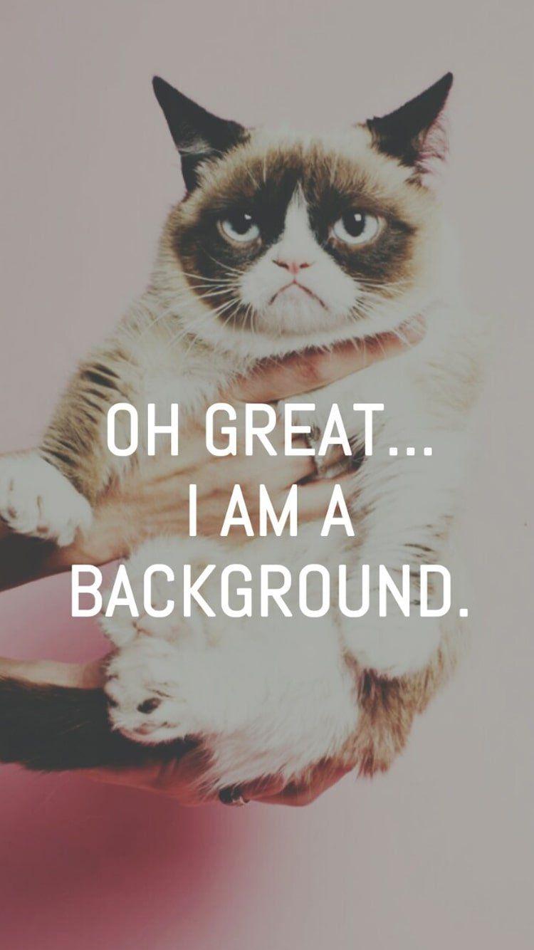 750x1334 Pin On Mobile IPhone Cat Wallpaper