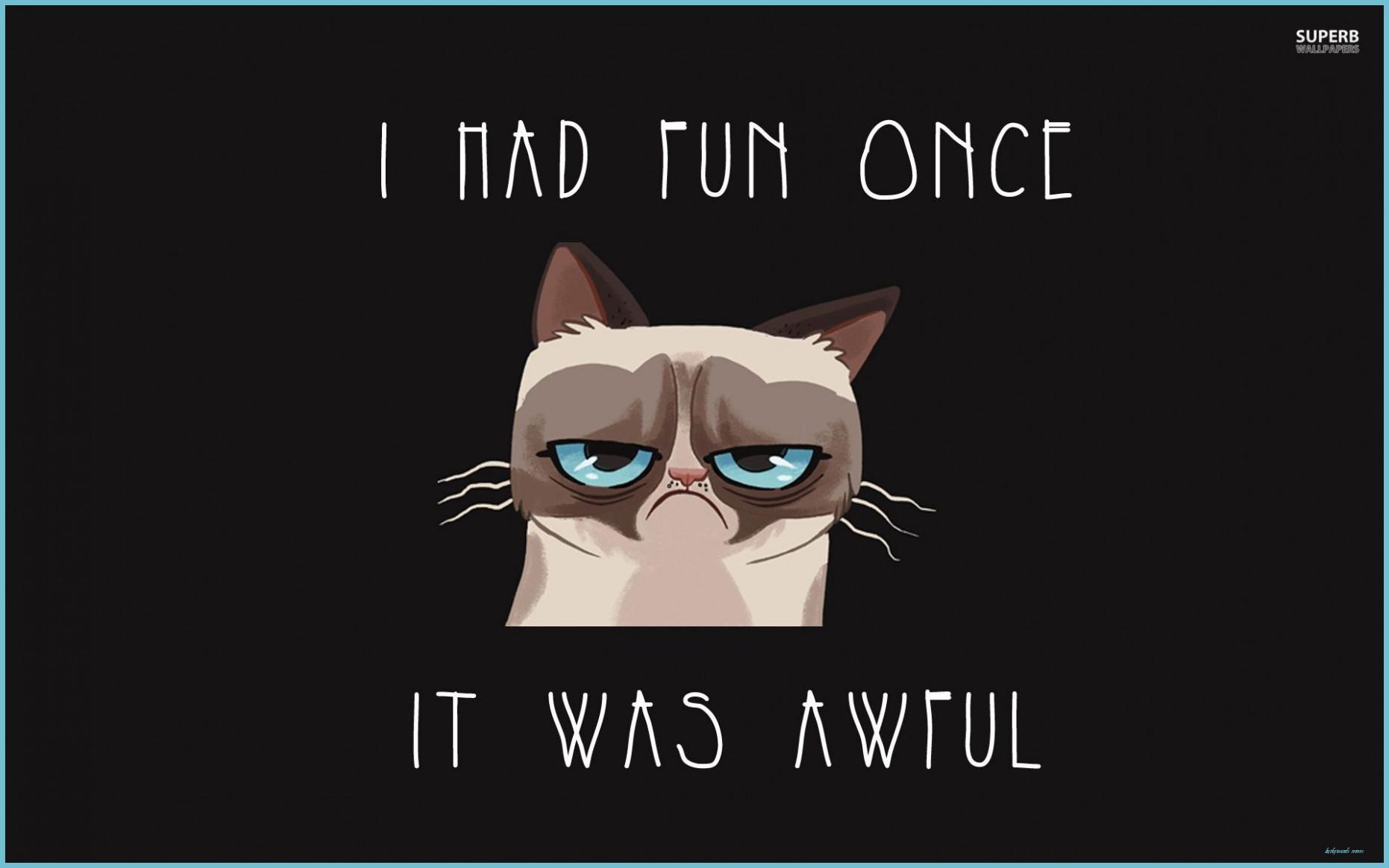 1862x1164 Funny Cat Memes Wallpaper Free Funny Cat Memes Background