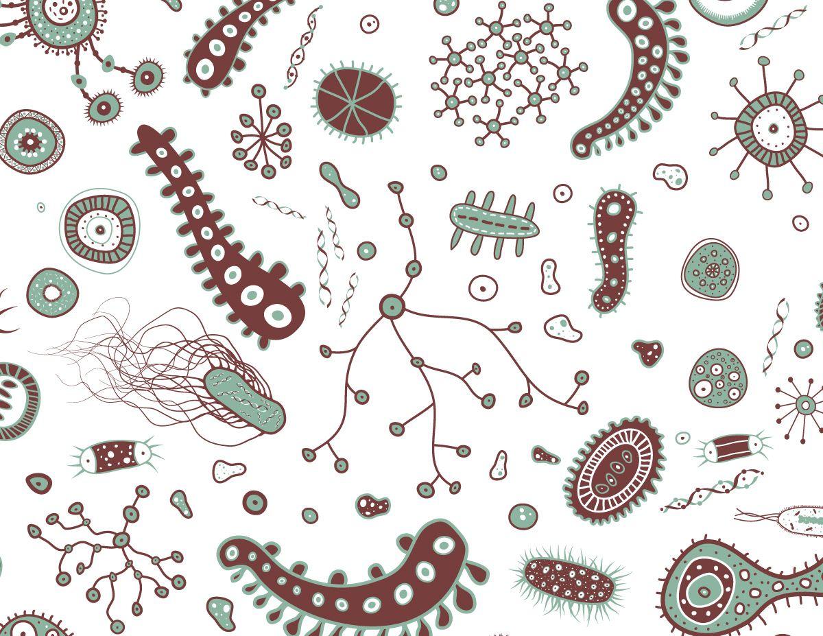 1200x927 Bacteria Wallpaper
