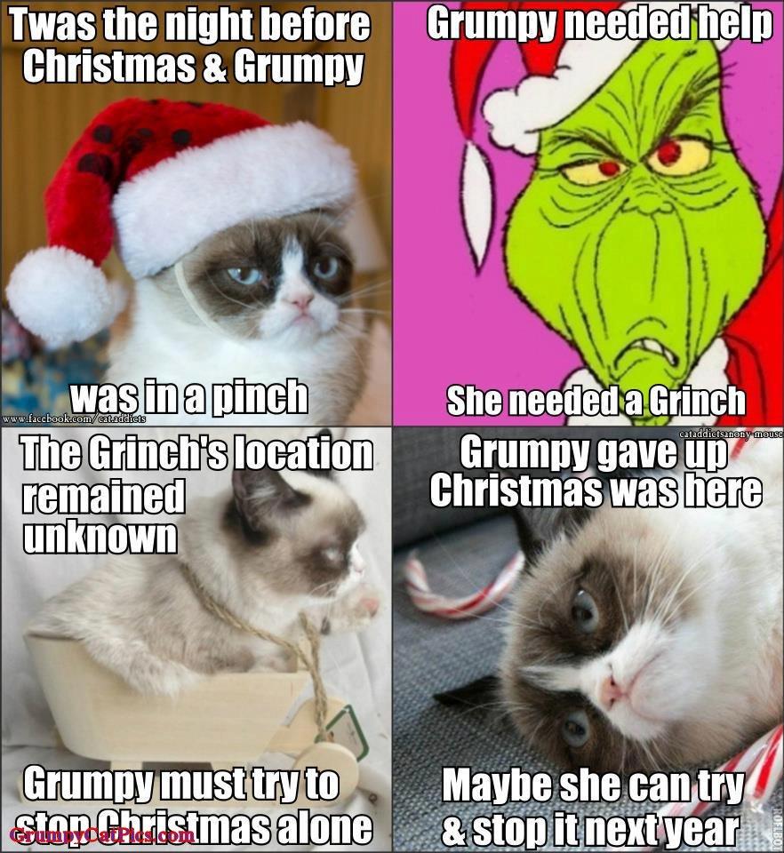 882x960 Christmas Cat Quotes. QuotesGram