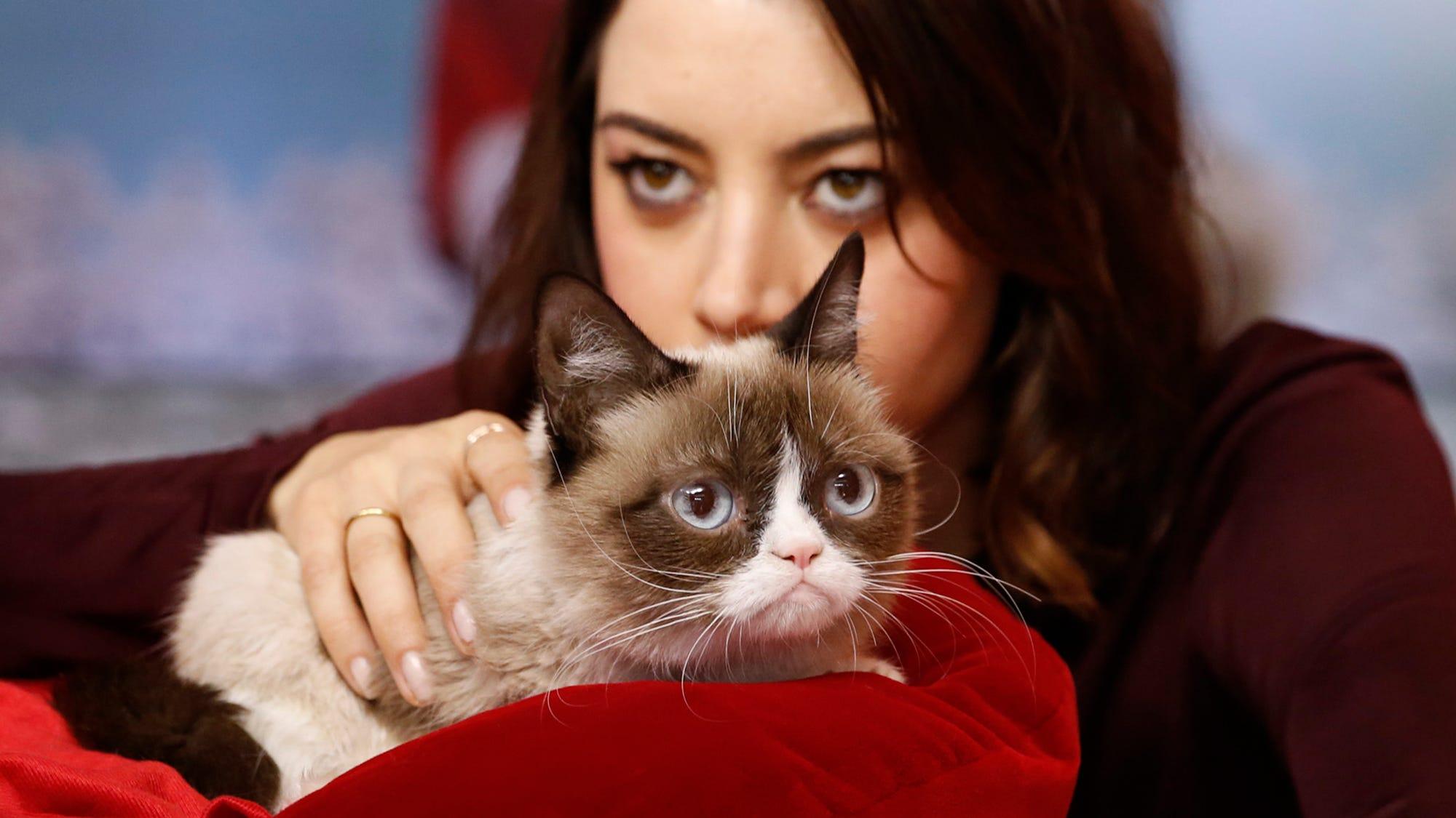 2000x1125 Grumpy Cat Died At Age 7 Aubrey Plaza Reaction