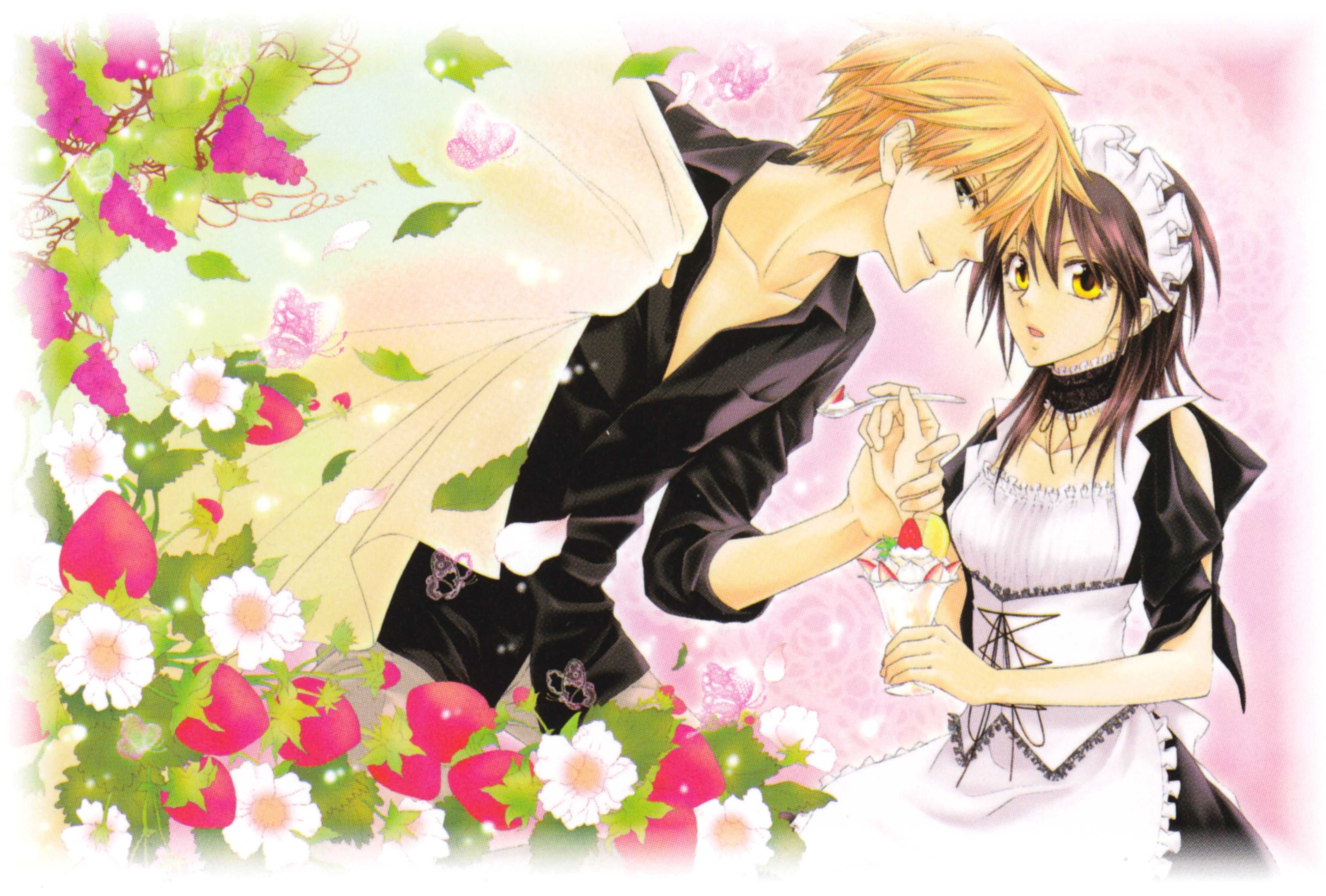 4438x3000 Maid Sama Wallpaper Free HD Wallpaper