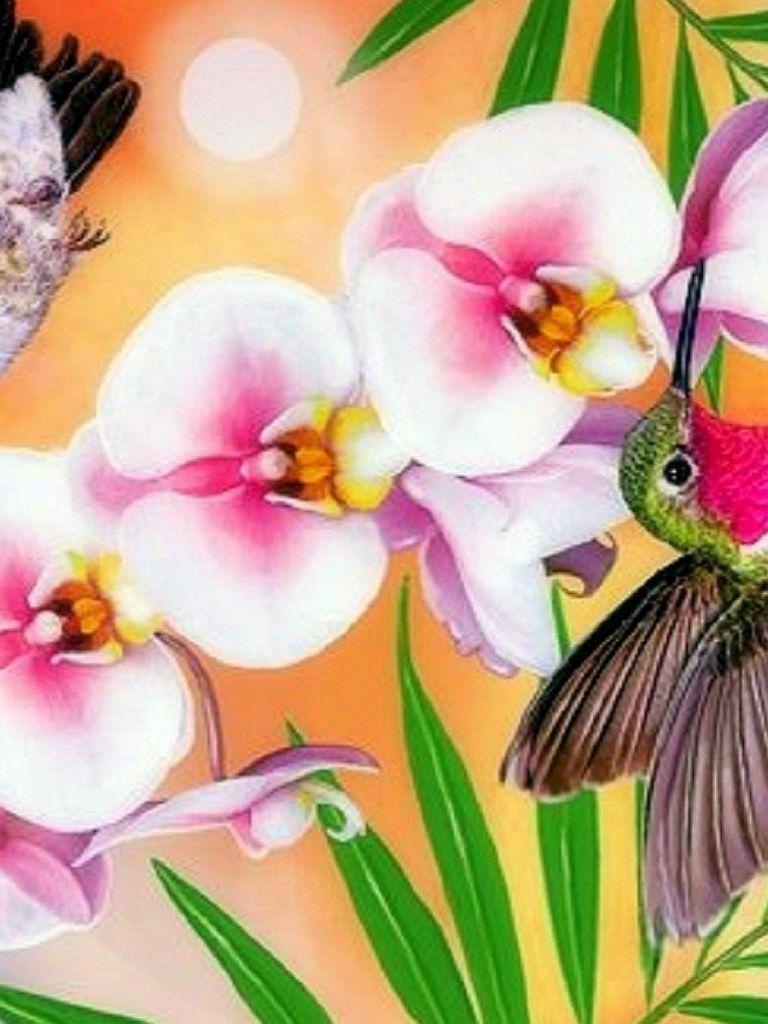 768x1024 Hummingbirds & Orchids iPad wallpaper