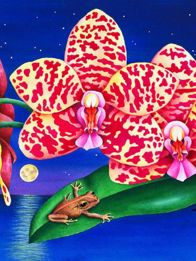 768x1024 Froggy & Orchids iPad wallpaper