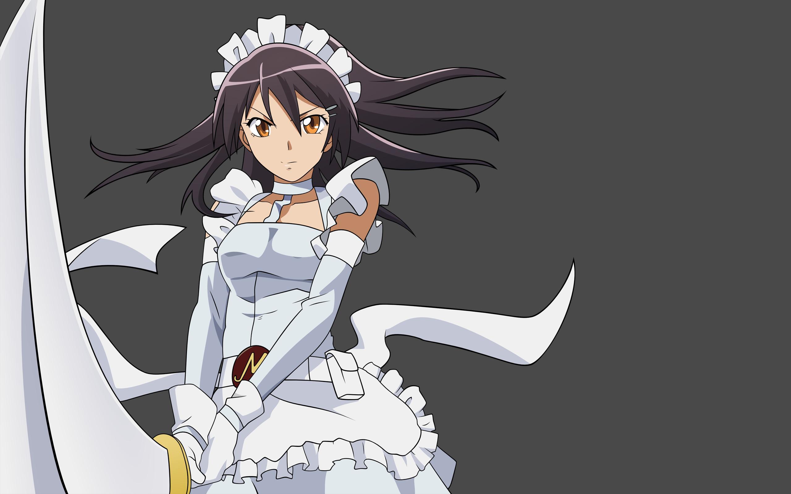 2560x1600 anime, Anime Girls, Kaichou Wa Maid sama!, Ayuzawa Misaki, Maid Wallpaper HD / Desktop and Mobile Background
