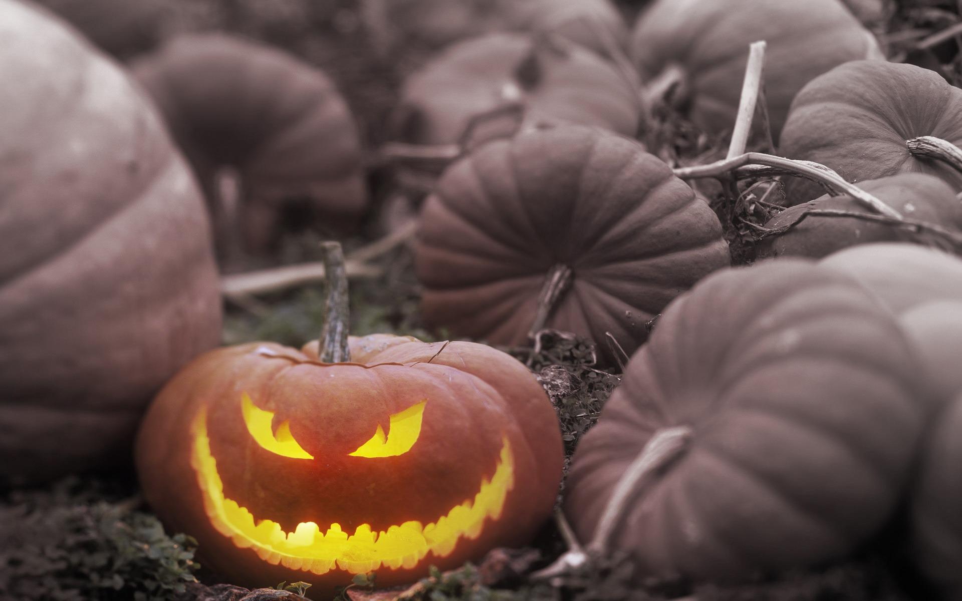 1920x1200 Evil Jack Pumpkin Wallpaper