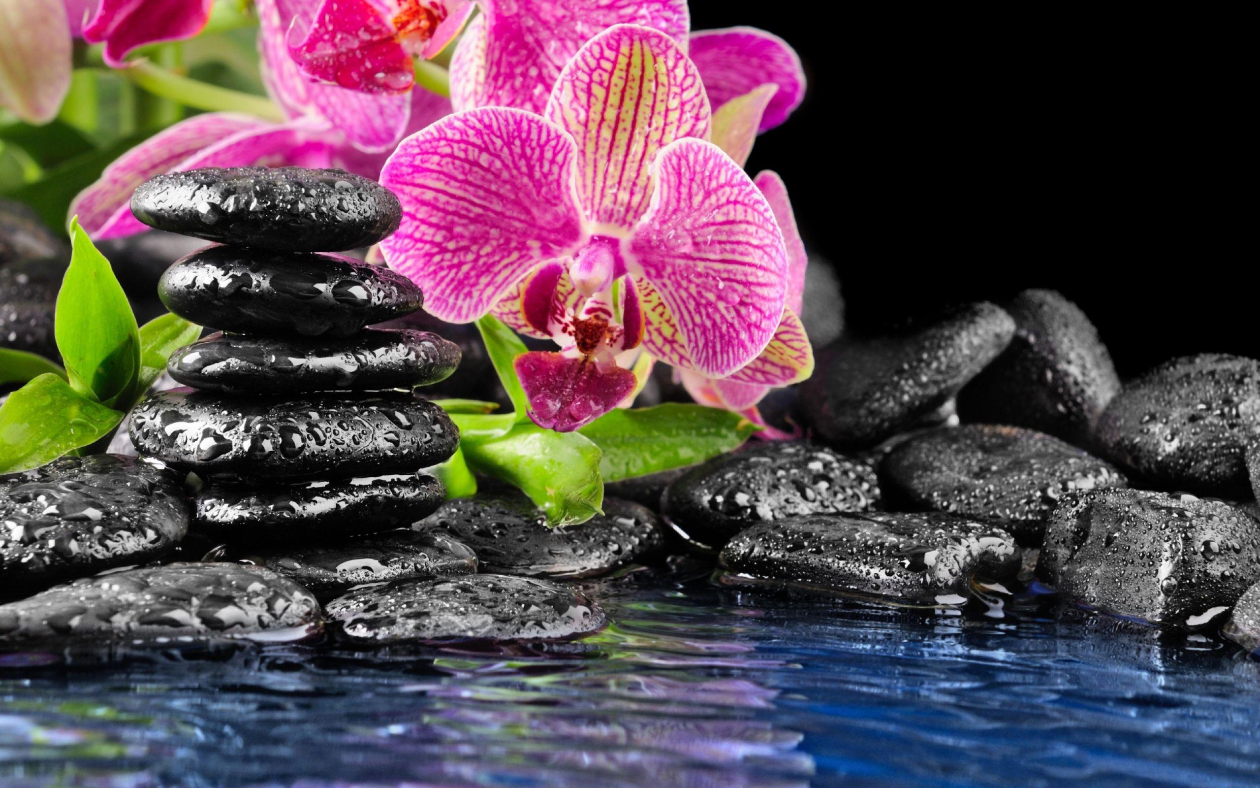 2560x1600 Zen Stones Wallpaper