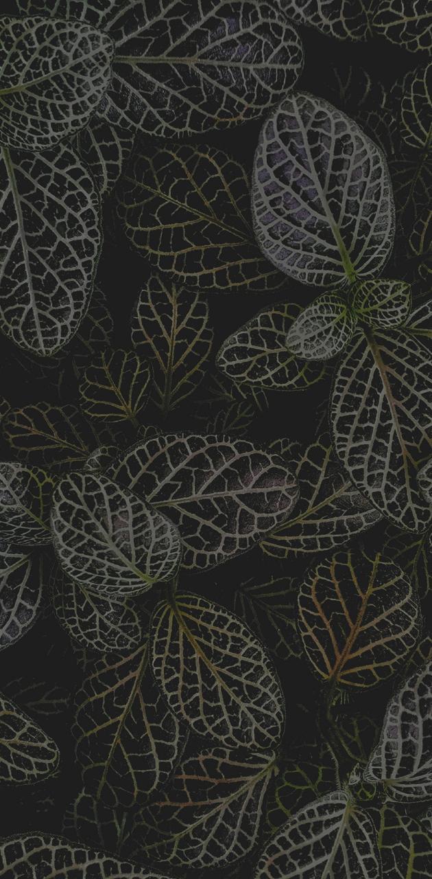 630x1280 natural pattern wallpaper