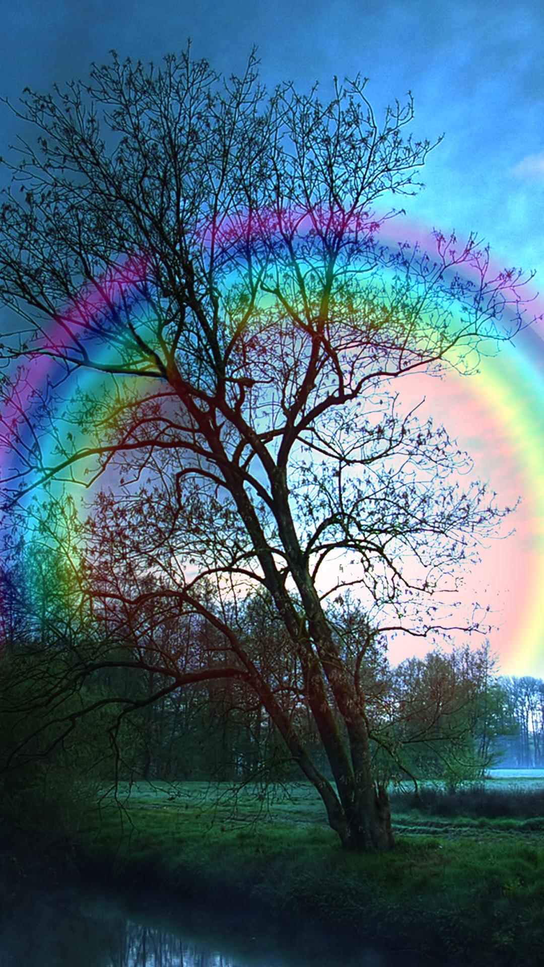 1080x1920 Rainbow Tree iPhone 6S Plus Wallpaper​-Quality Image and Transparent PNG Free Clipart