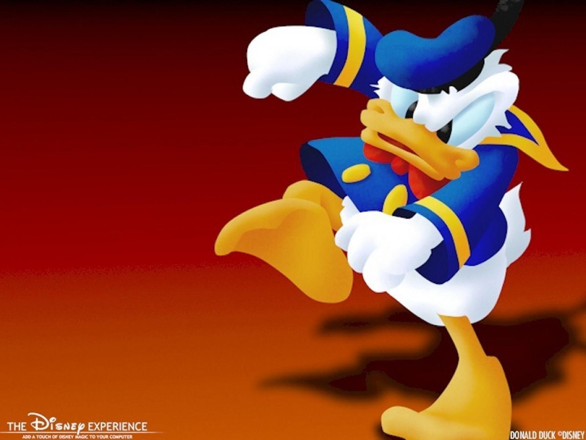 1920x1440 Donald Duck Wallpaper Donald Duck 6350998 1024 768