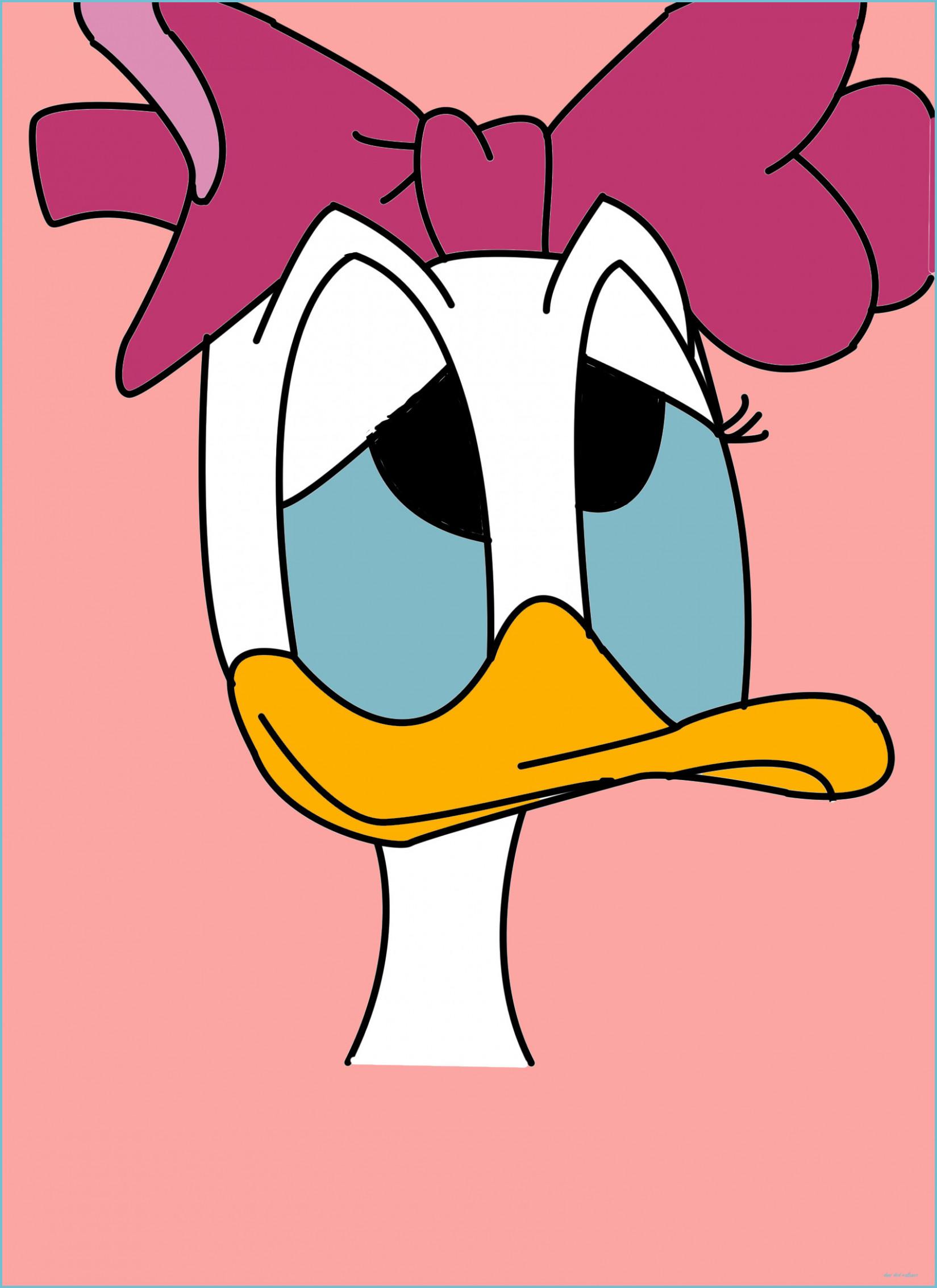 1649x2267 Daisy Duck Wallpaper (Picture) Duck Wallpaper