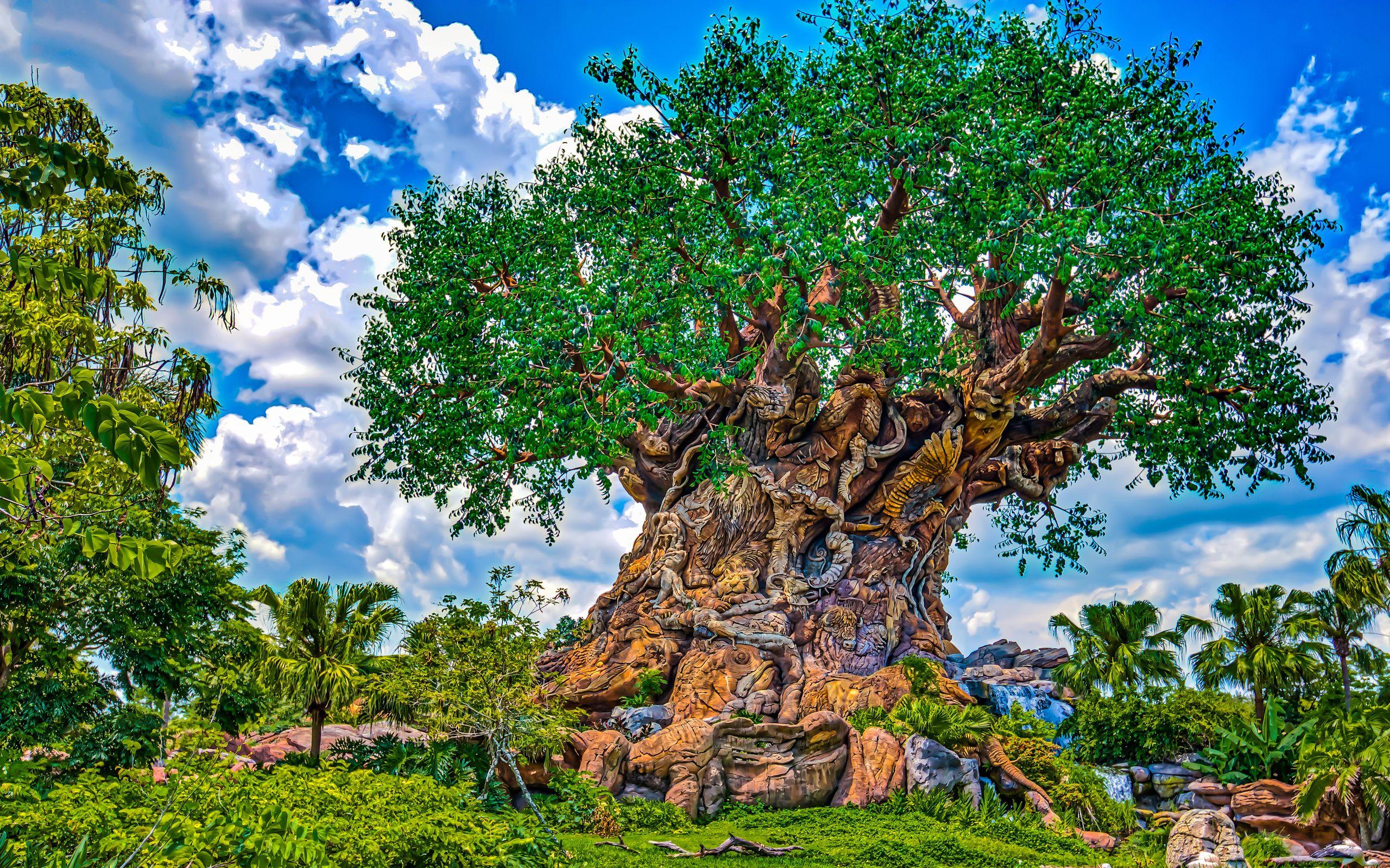Disney Animal Kingdom Wallpapers Top Free Disney Animal Kingdom
