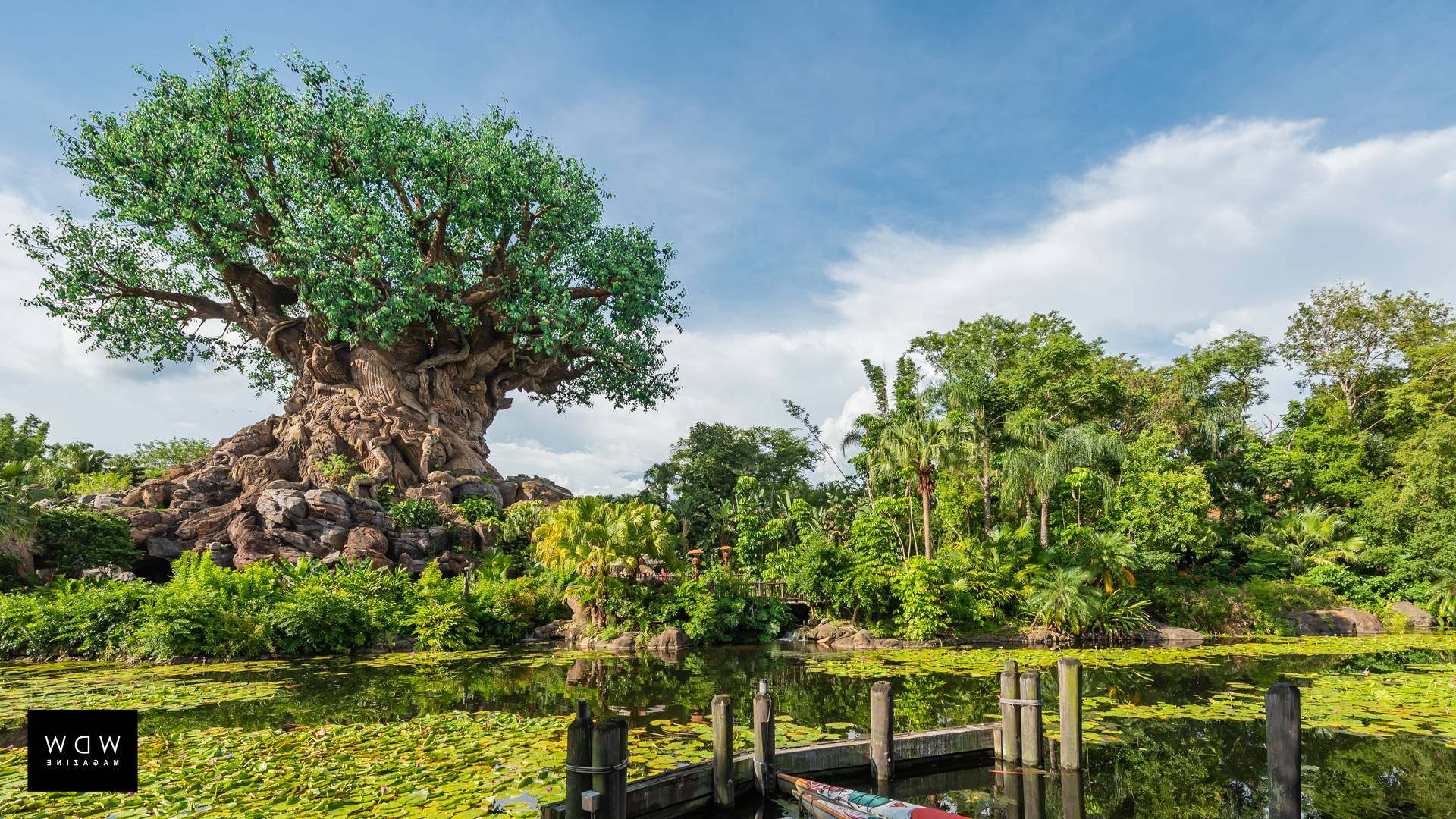 1920x1080 Download These Disney World Zoom Background