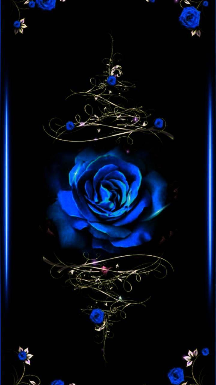 blue rose wallpaper for desktop