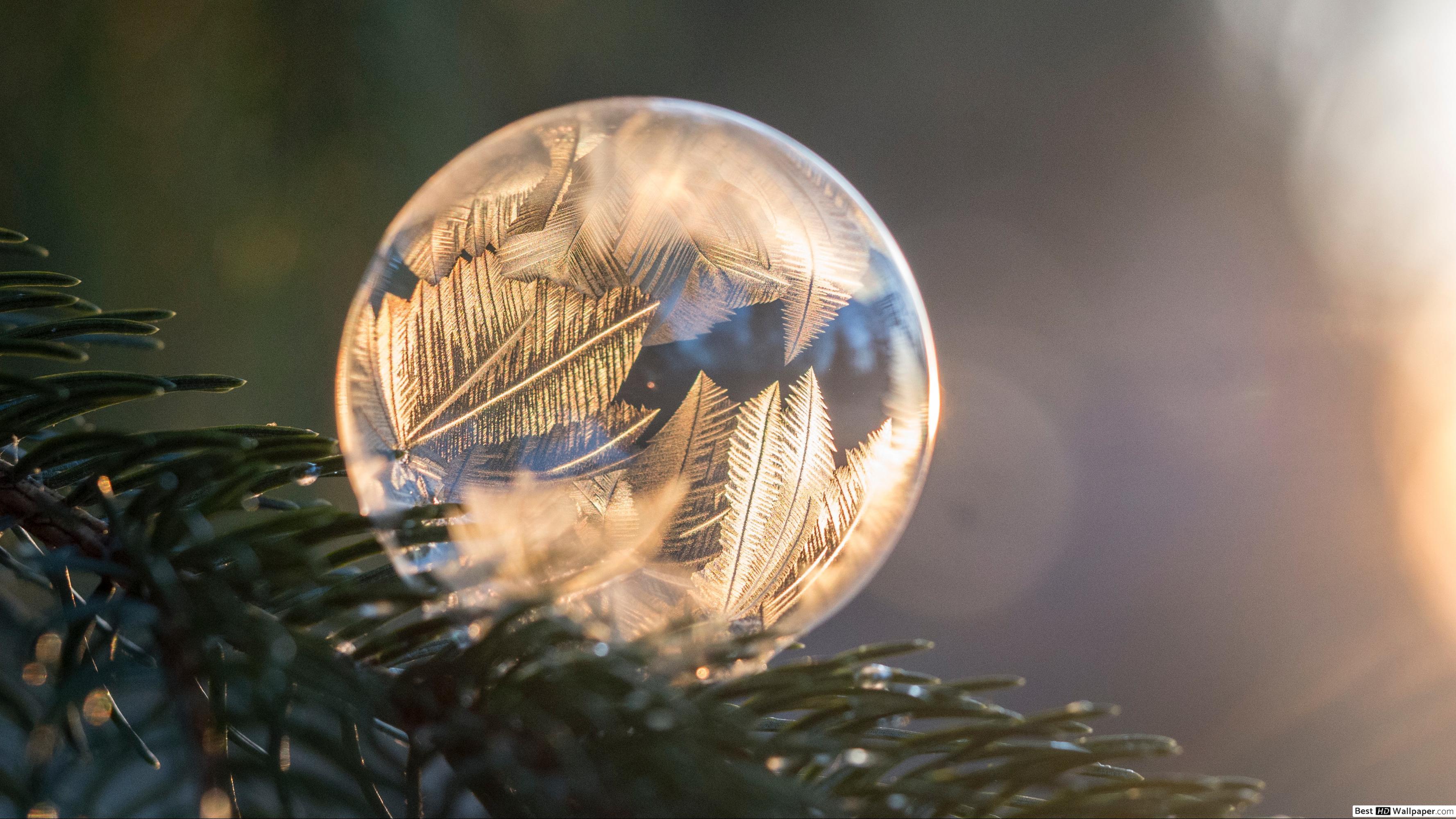 Frozen Bubbles HD Wallpapers - Top Free Frozen Bubbles HD Backgrounds