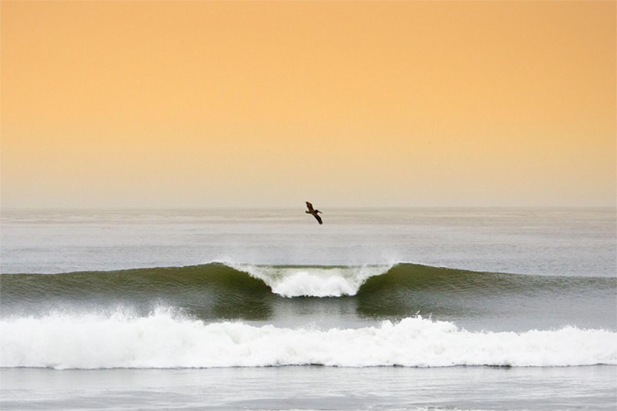 1200x800 Surfing Lower Trestles: the jewel of Southern California