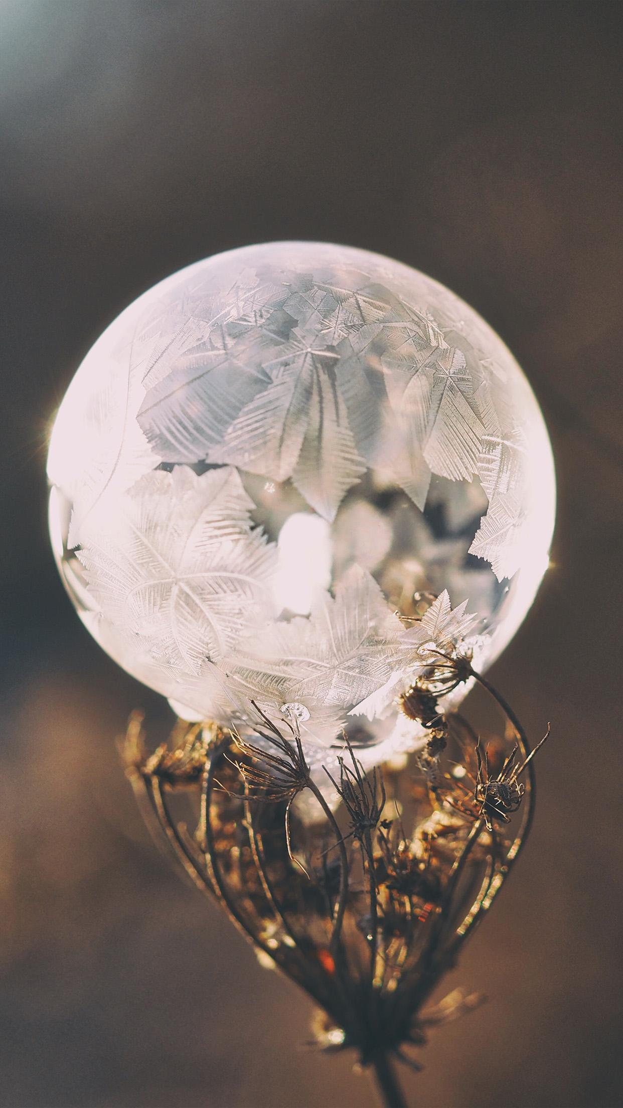1242x2208 Winter Cold Frozen Bubble Bokeh Nature Wallpaper