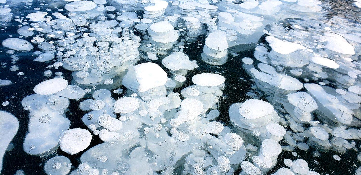 1500x729 Frozen Bubbles at Abraham Lake
