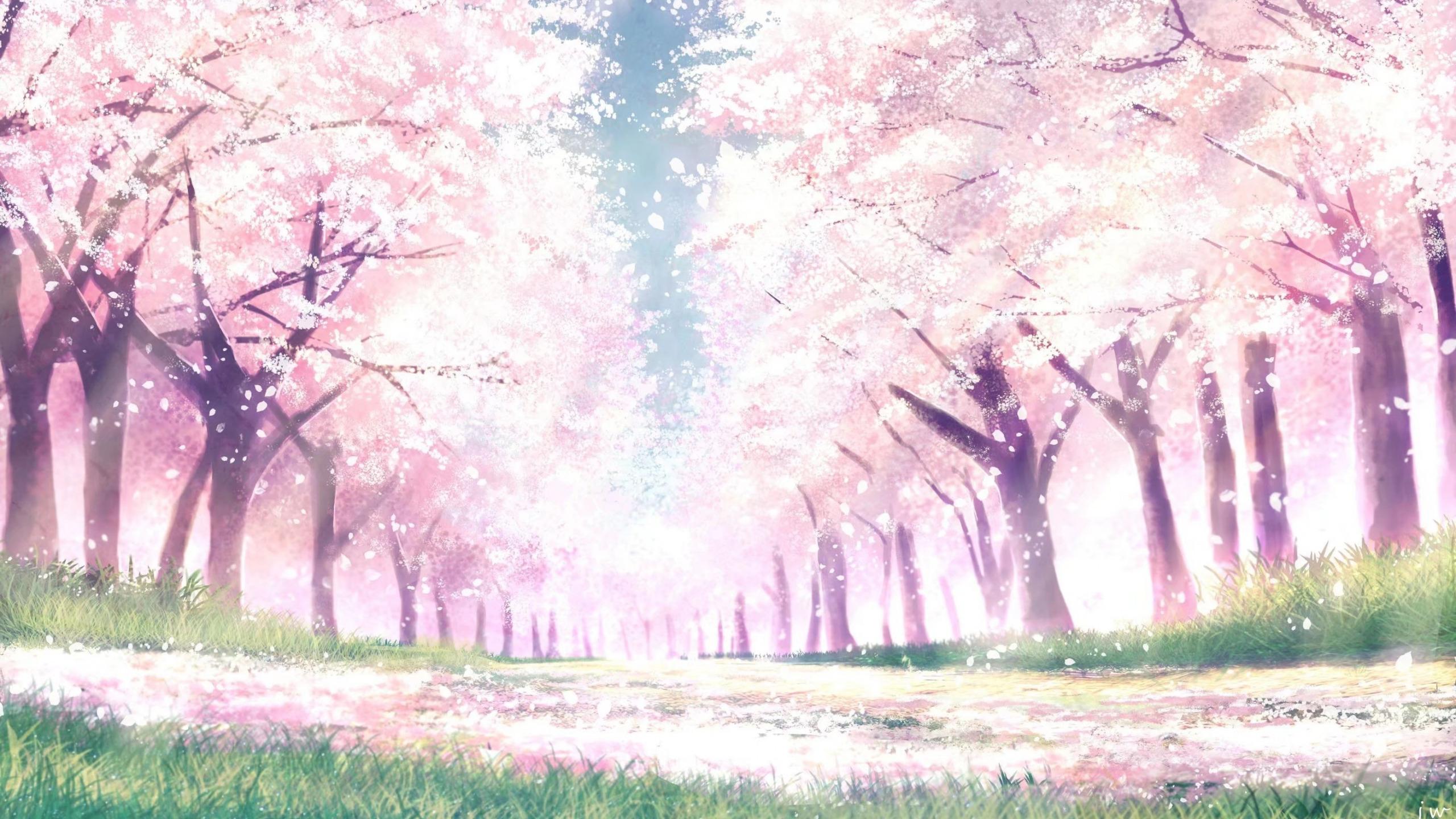 2560x1440 Download wallpaper Park, spring, Sakura, section art in resolution 2560x1440