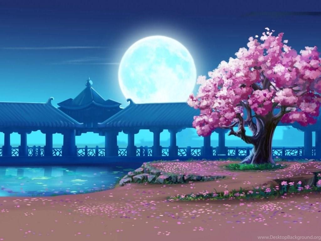 1024x768 Download Sakura Tree Wallpaper HD Desktop Background