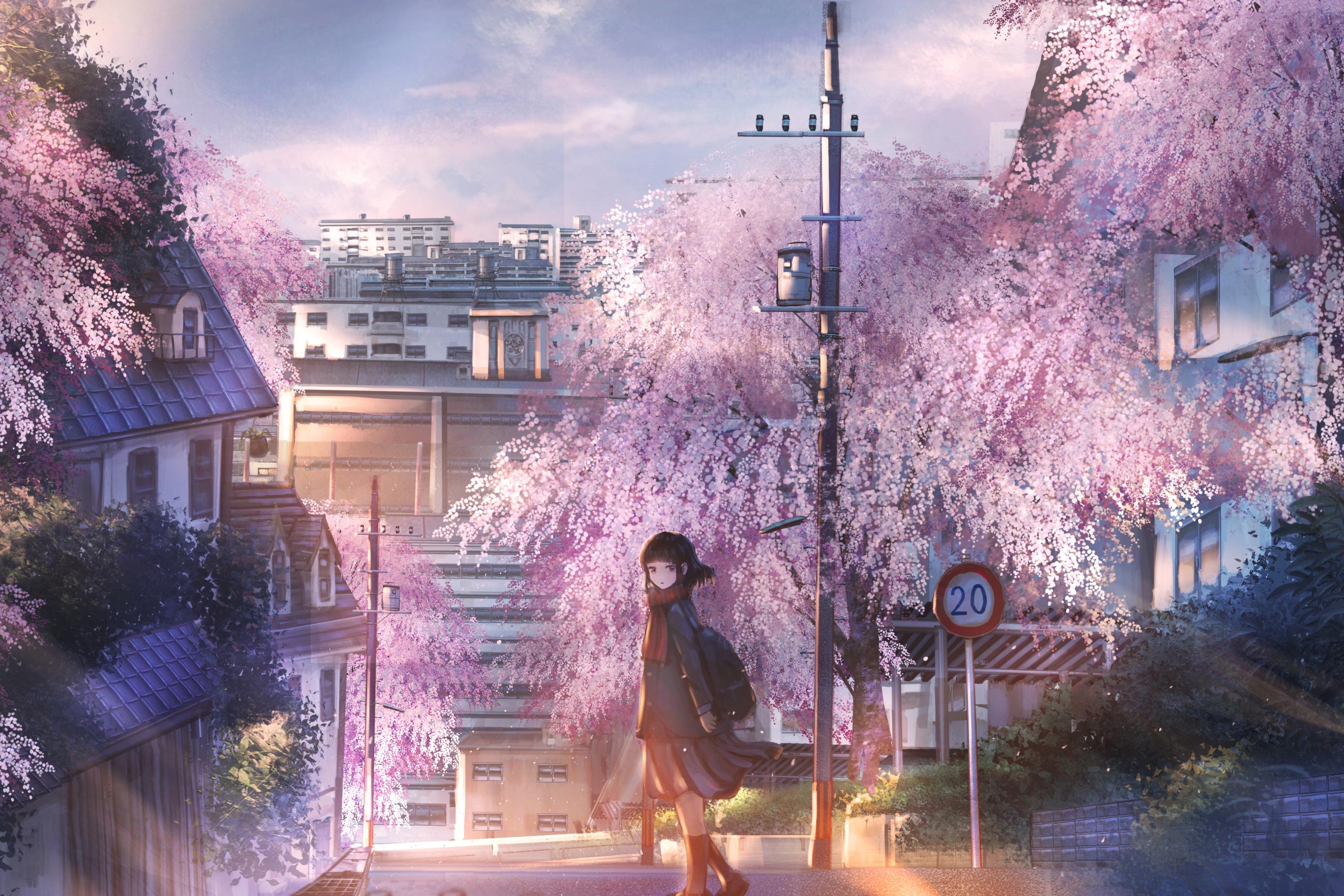 3000x2000 Download 3000x2000 Anime Landscape, Anime School Girl, Buildings, Sakura Blossom Wallpaper